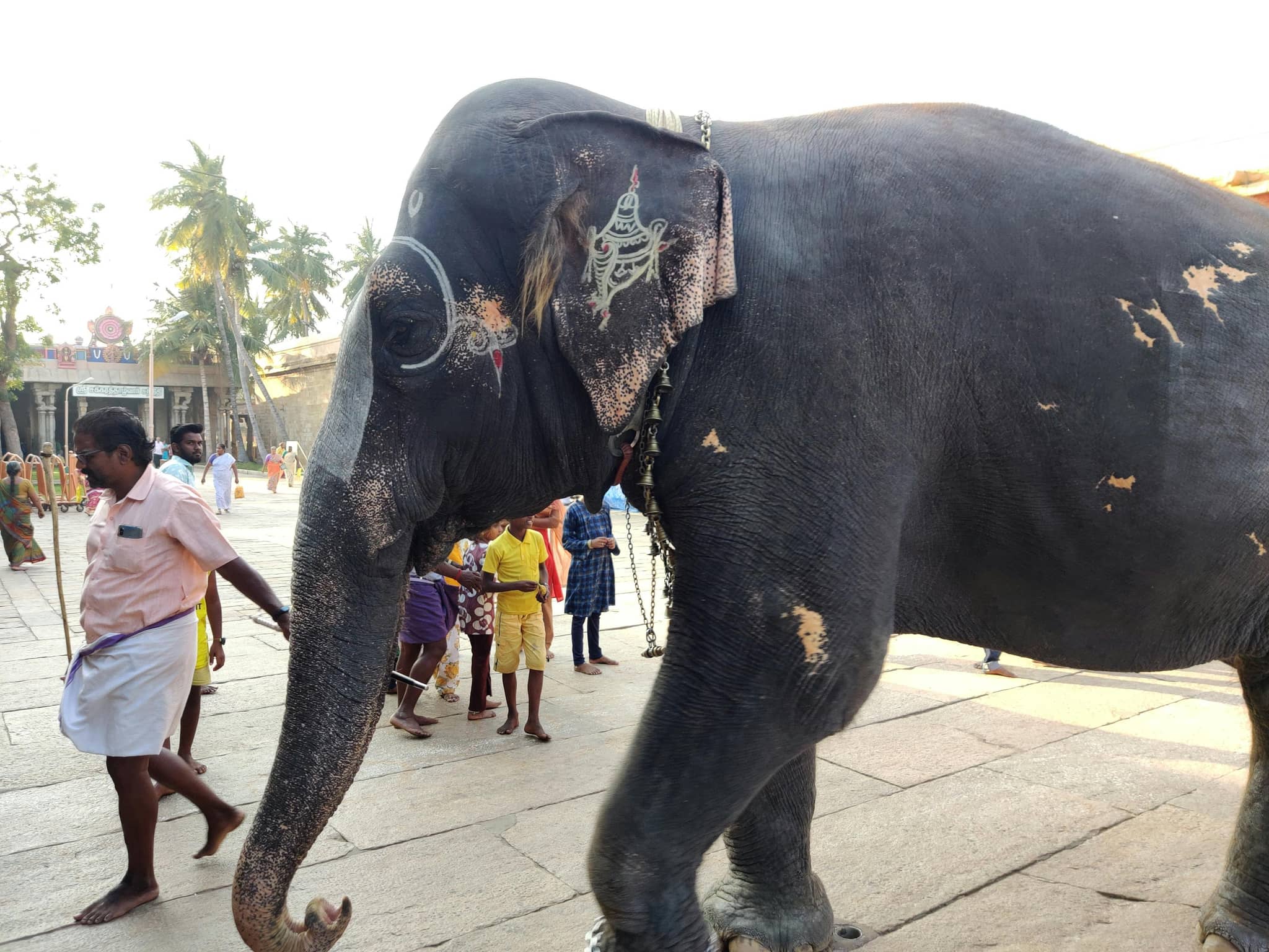 Vocabulario Inglés para Redes Sociales: Guía Completa de Términos Digitales